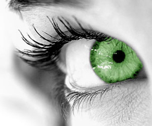 Black and White Green Eye